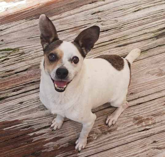 Photo of Tiny