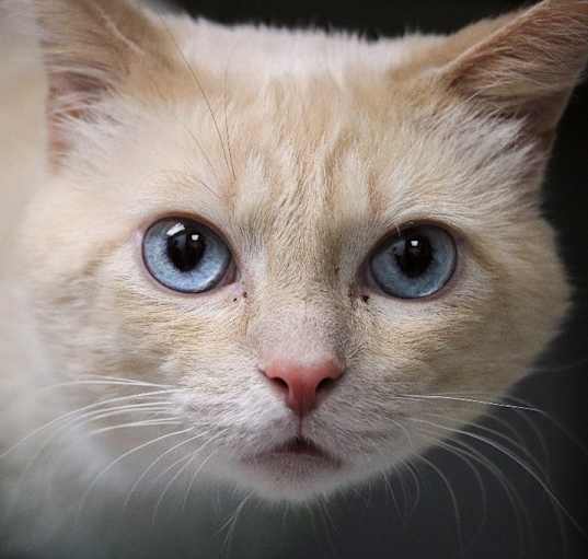 Photo of Bernard