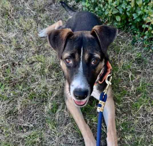 Photo of Hildy