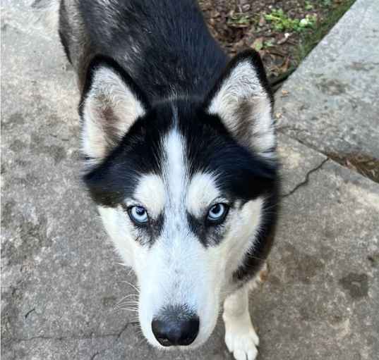Photo of Rosalie
