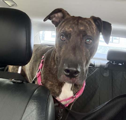 Photo of Bingo