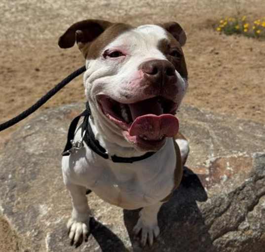 Photo of ZEPHYR