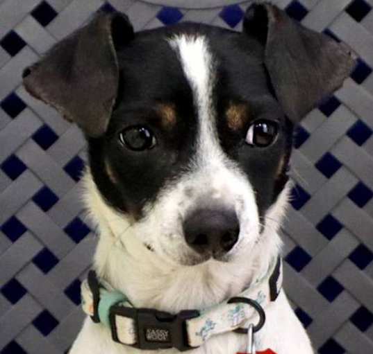 Photo of Briggs