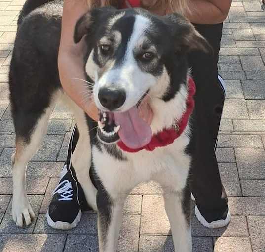 Photo of Elsa
