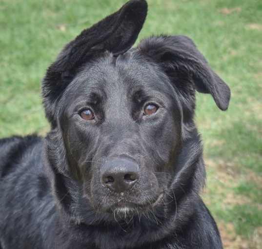 Photo of Sabine