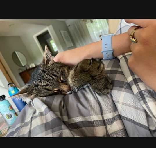 Photo of Rosie