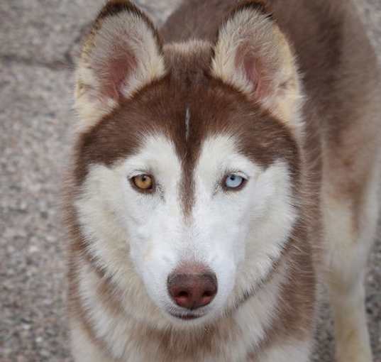 Photo of Esme