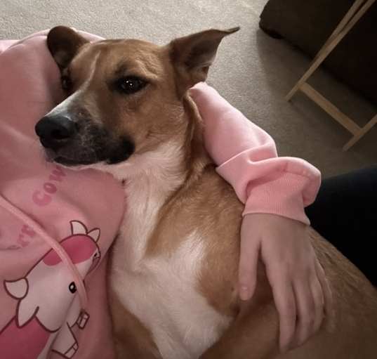 Photo of Lily