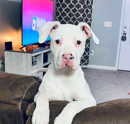 Photo of Kaia