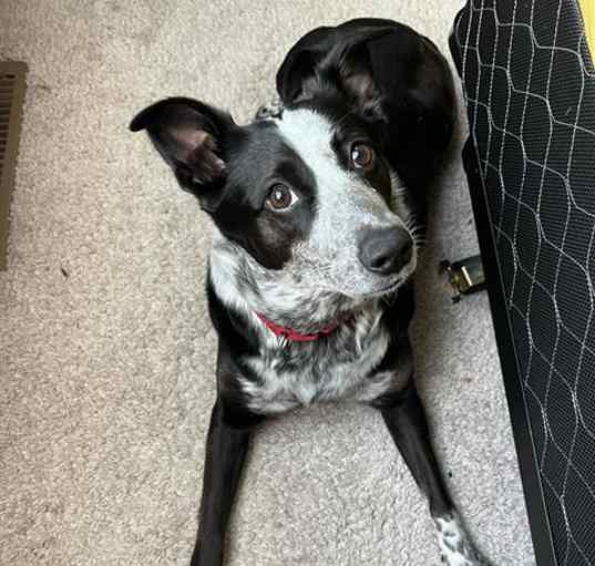Photo of BREEZIE