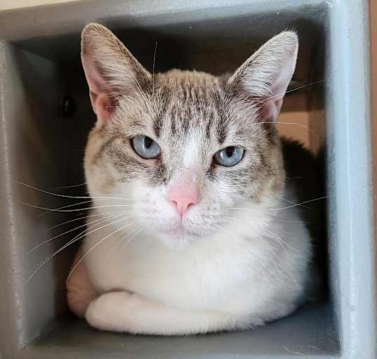 Photo of Juliette