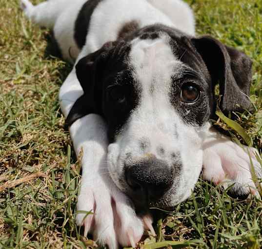 Photo of Sprout