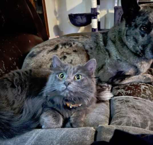 Photo of Bumper
