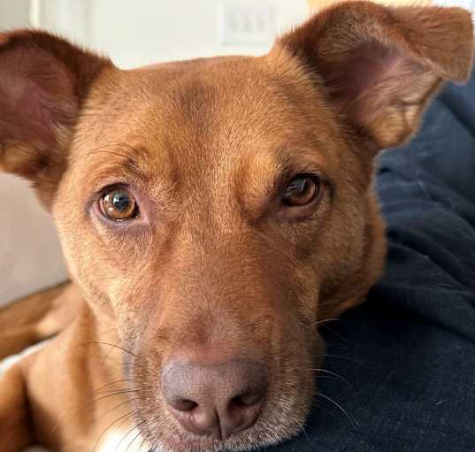 Photo of Jax