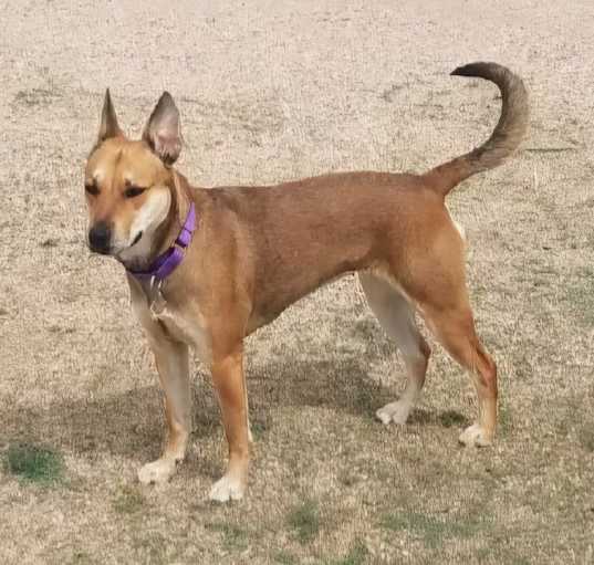 Photo of Sammie
