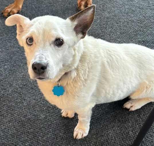 Photo of Zoe