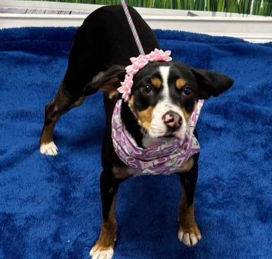 Photo of Thea