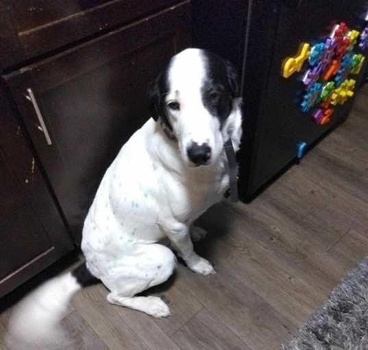 Photo of PO