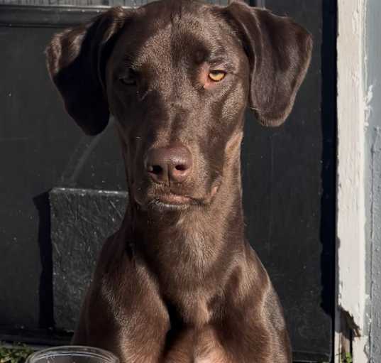 Photo of Duke