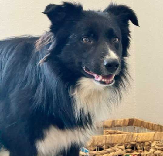 Photo of Myles