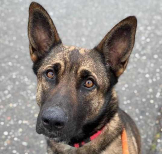 Photo of KIRA