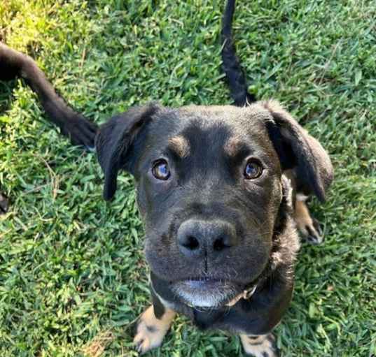 Photo of Zuri