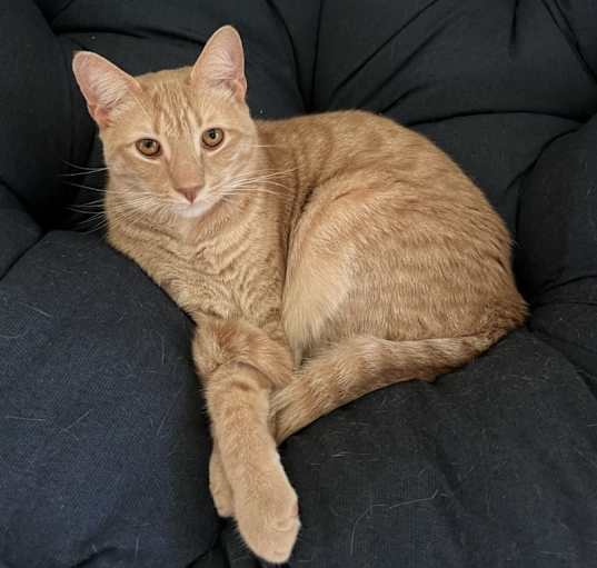 Photo of Toast