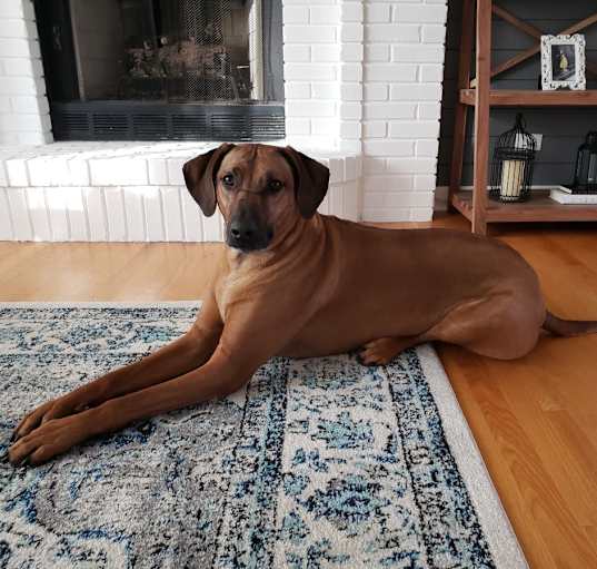 Photo of Ruby