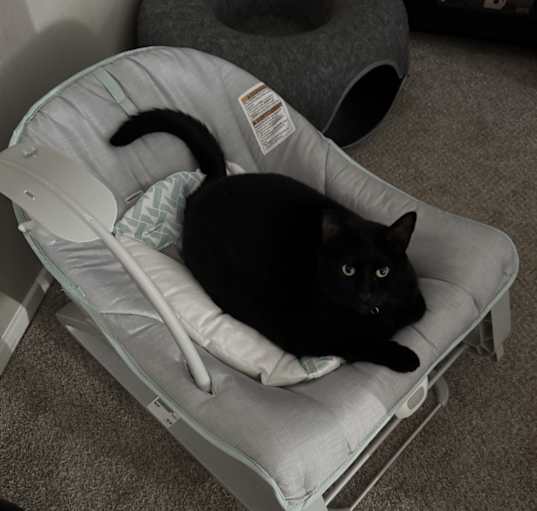 Photo of Ash