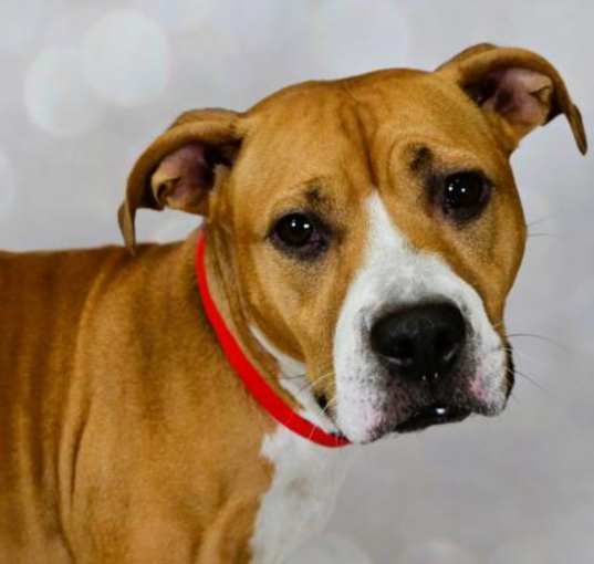Photo of NALA