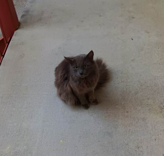 Photo of Fuzzy