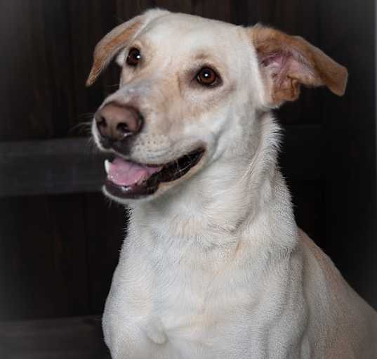 Photo of Esperanza A527