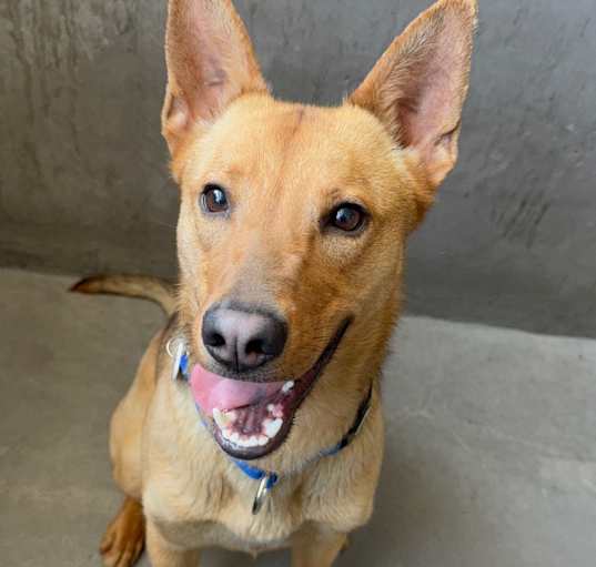 Photo of Ben A2186116
