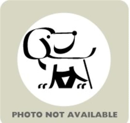 Photo of 56216420