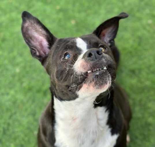 Photo of MACK