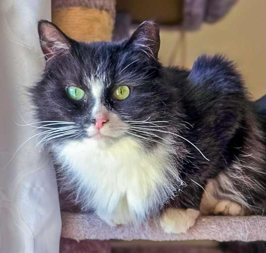 Photo of Clara