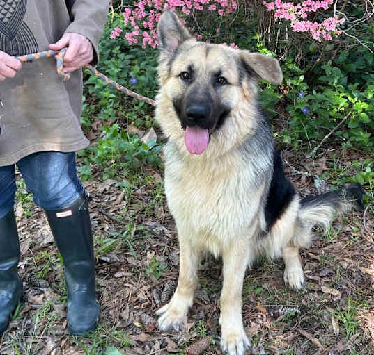 Photo of Apollo 