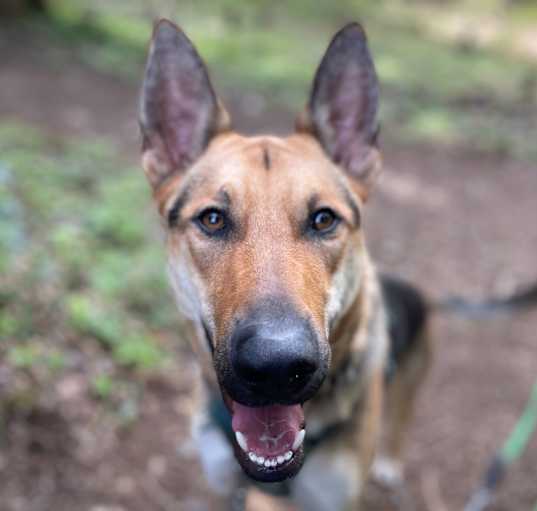 Photo of Ace