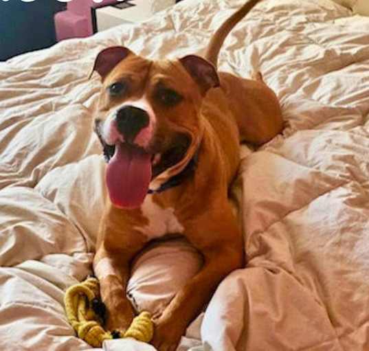 Photo of Jaxson