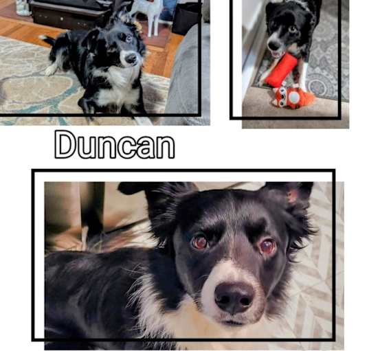 Photo of Duncan