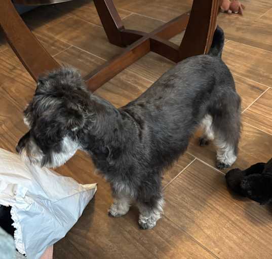 Photo of Heidi