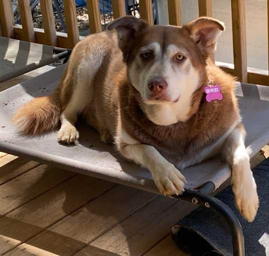 Photo of Grace 