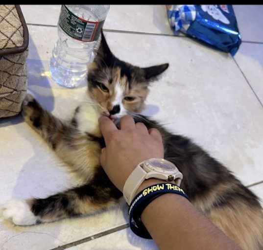 Photo of Sasi