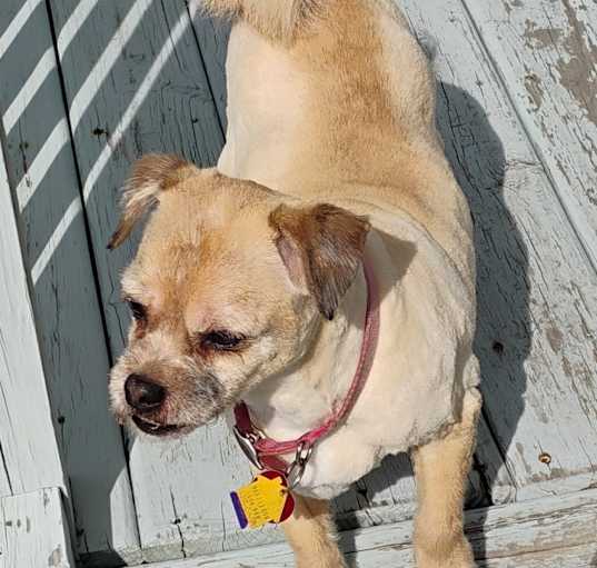 Photo of Peggy