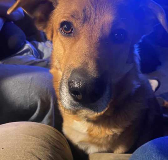 Photo of Sandy