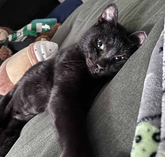 Photo of Mavis