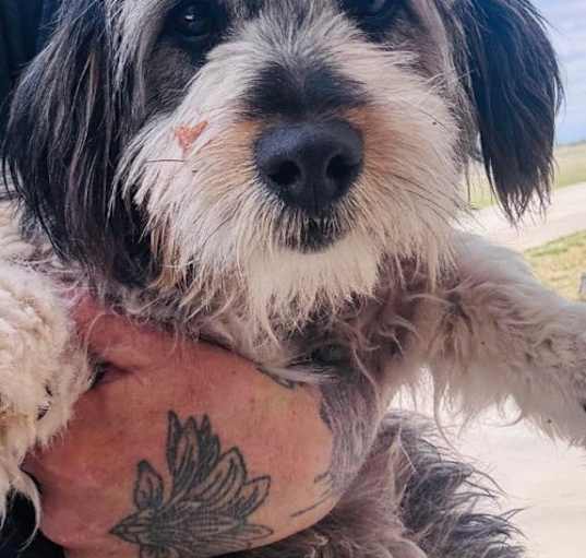 Photo of Paula - ADOPTION IN PROCESS