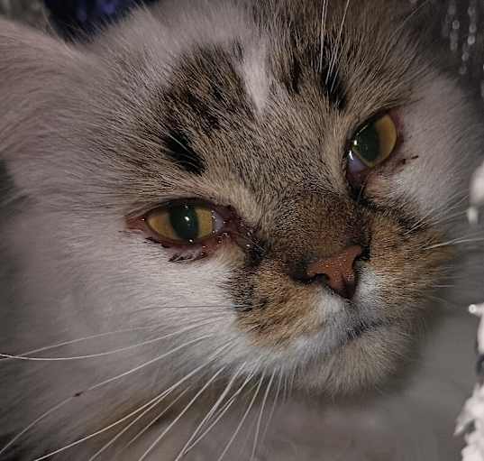 Photo of Micha