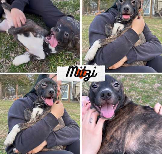 Photo of Mitzi