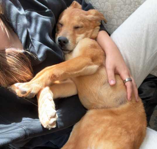 Photo of Milo